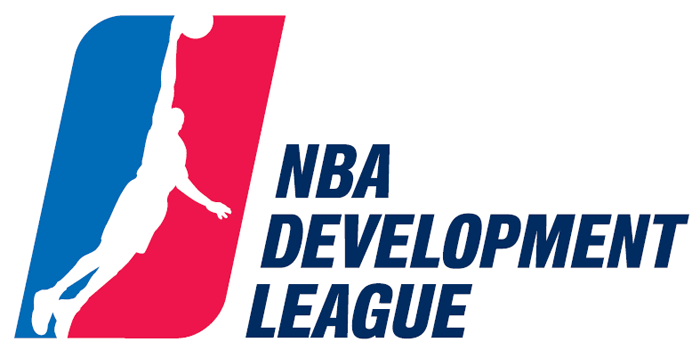 NBA D-League 2006-Pres Primary Logo iron on heat transfer